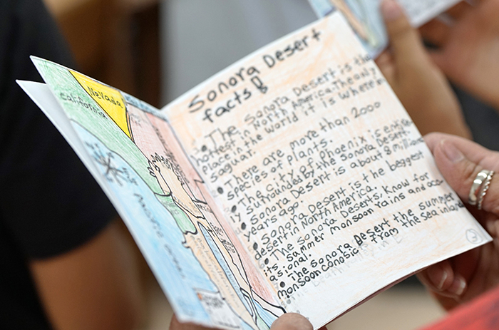 Closeup of a zine about the Sonoran Desert