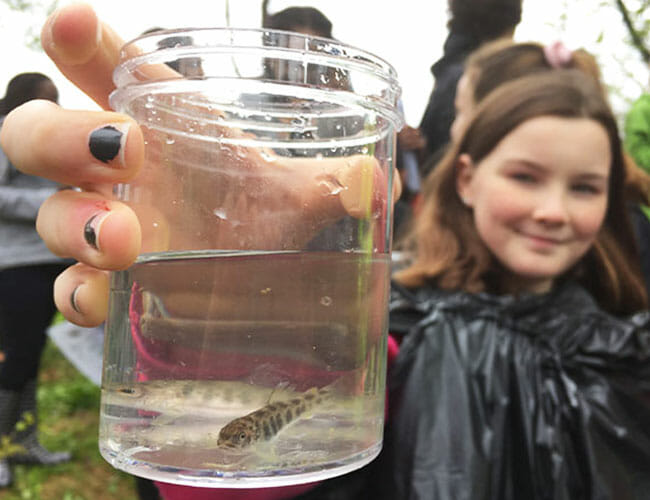 Student holding baby trout in a cup