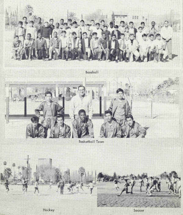 photos of past sports teams at Safford